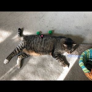 Meet your Posher, Doug